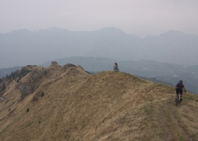 MONTE ARIO